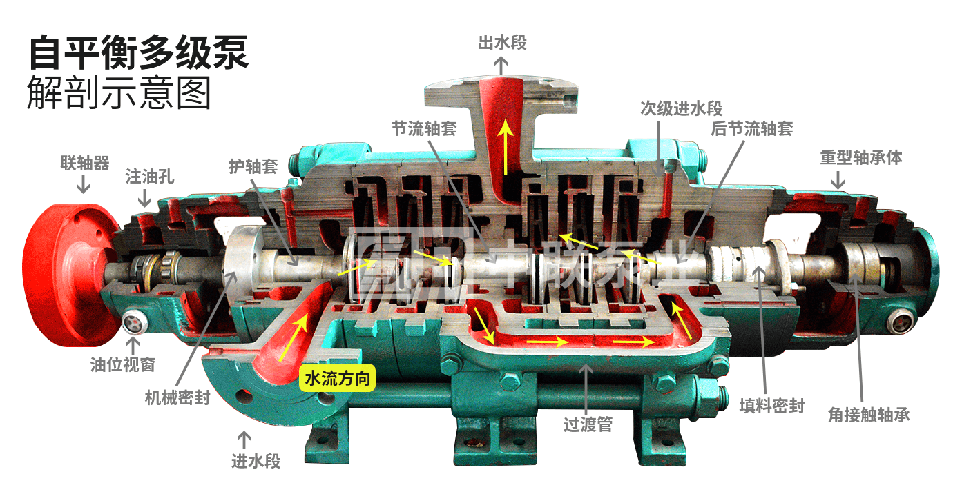 自平衡多级泵结构解剖图