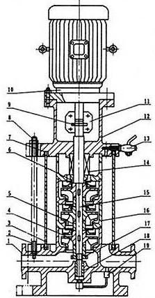 GDL型不锈钢立式多级泵结构图