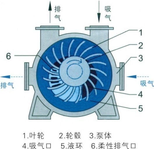 2BE1型循环水式真空泵结构图