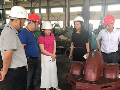 浏阳副市长来我司考察